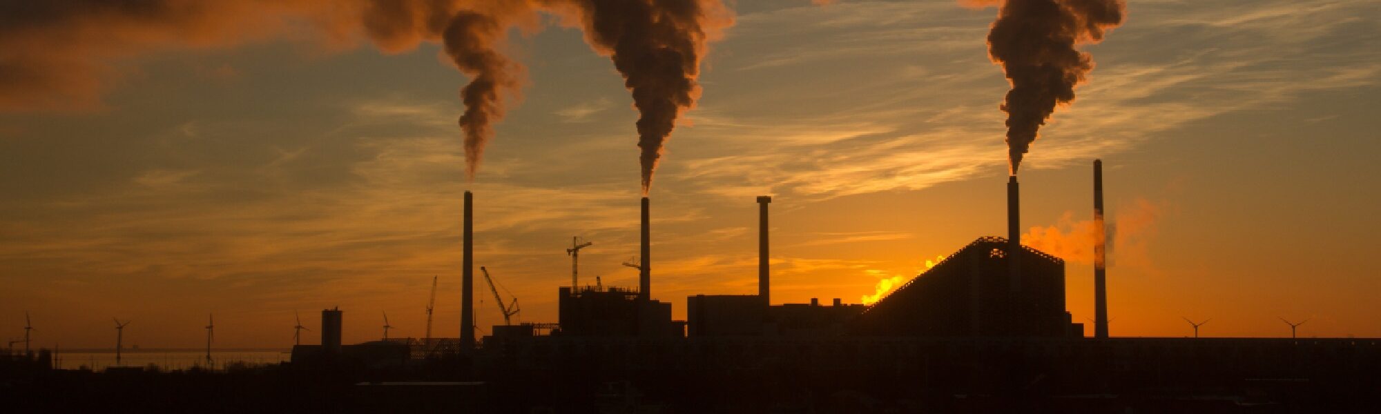 petrochemical-sample petrochemical-sample